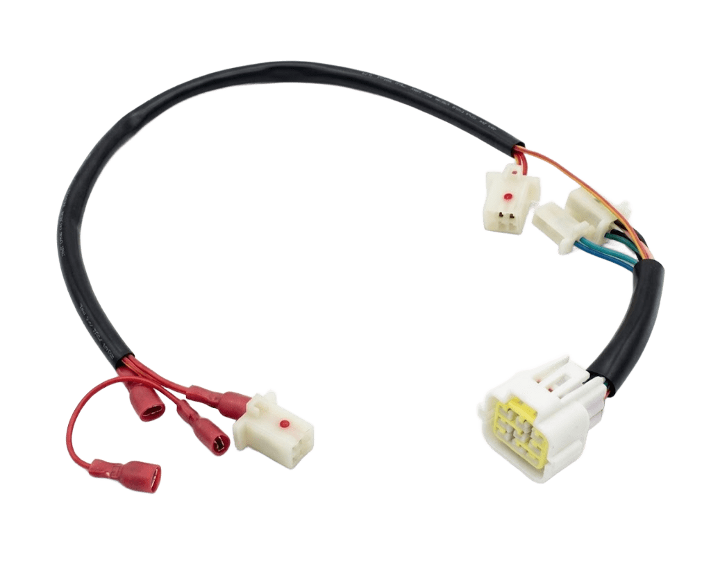 EV Transportation 3